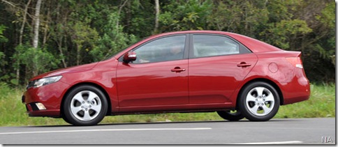 cerato-lateral