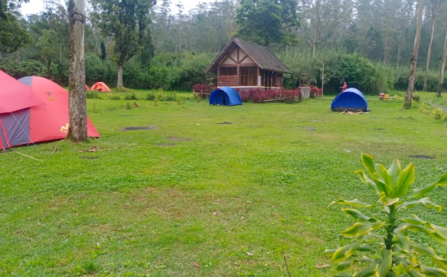 Camping di Bandung Ciwidey