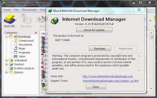 Internet Download Manager