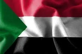 عناوين وفروع شركة dxn في البلدان العربية