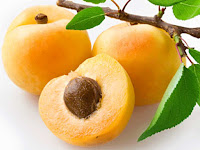 apricot - le abricot - Prunus armeniaca