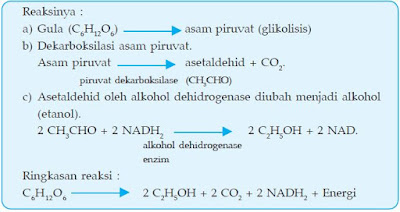 Hasil gambar untuk soal tentang glikolisis pandani