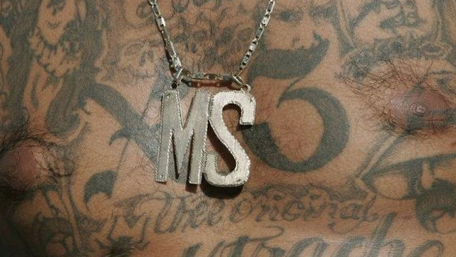 MS-13 member tries to sneak into U.S. as illegal immigrant child