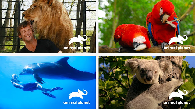 nuevo-logotipo-para-animal-planet-elefante-azul
