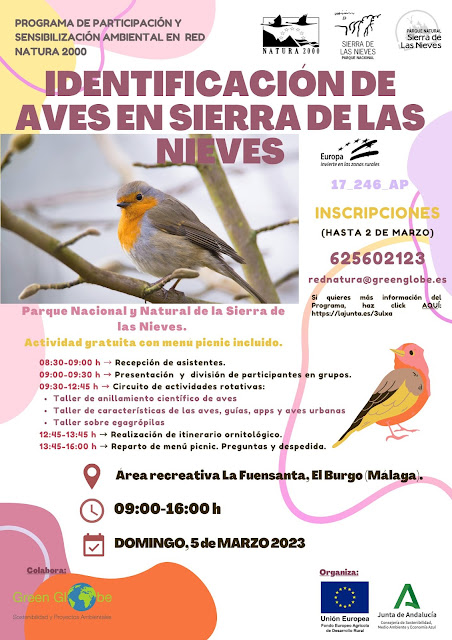 aves-parque-nacional-sierra-de-las-nieves-malaga-andalucia