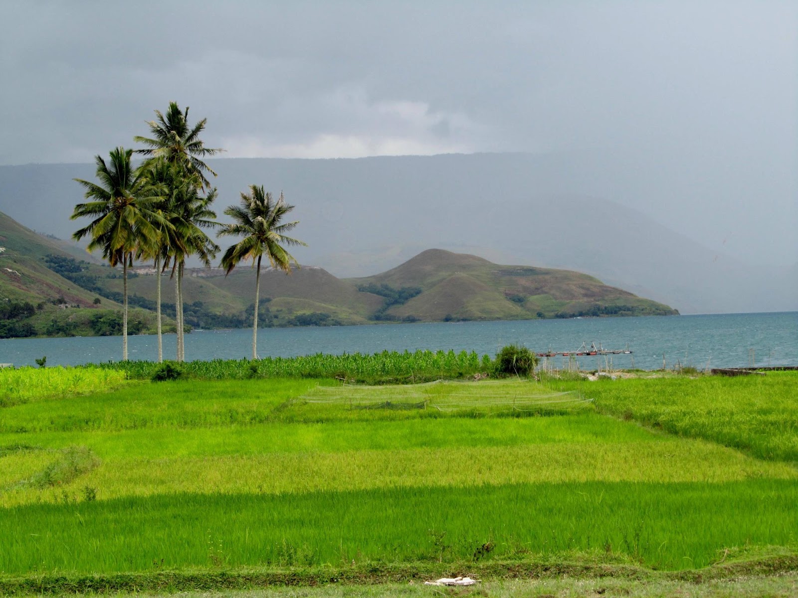 Download this Lake Toba Never Ending Beauty picture