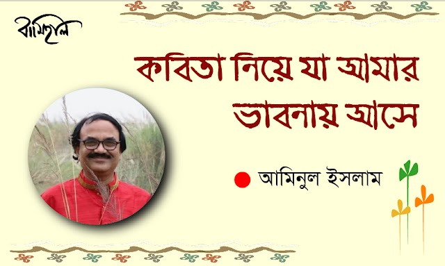 আমিনুল ইসলাম এর প্রবন্ধ