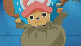 ワンピースアニメ パンクハザード編 596話 チョッパー かわいい | ONE PIECE Episode 596