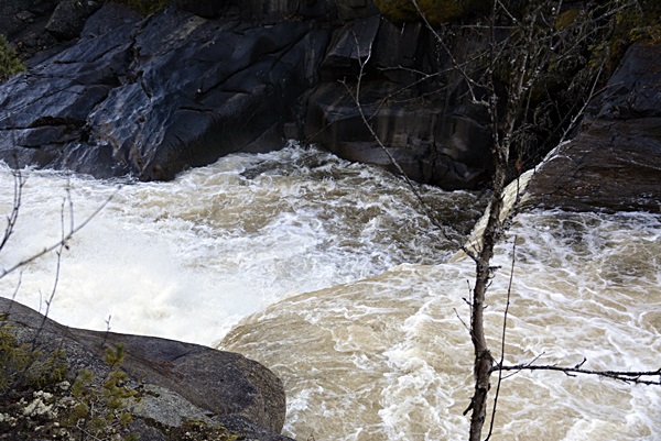 elvelangs hølera