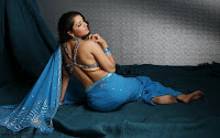 Nikitha, Photoshoot, In, Icy, Blue, Saree