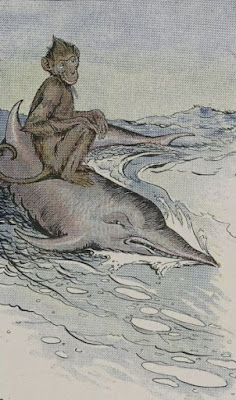 the monkey and the dolphin