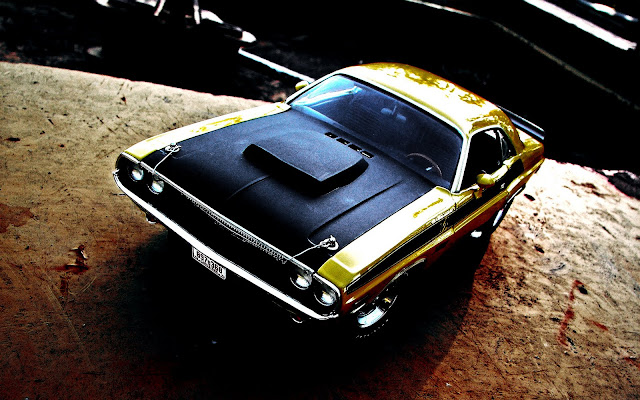 Dodge Challenger Seen On www.coolpicturegallery.us