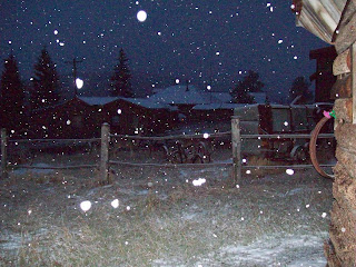 View from the Cabin