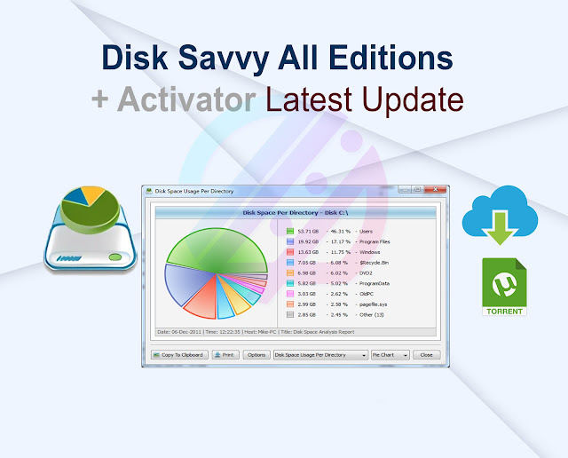 Disk Savvy All Editions 15.8.12 + Activator Latest Update