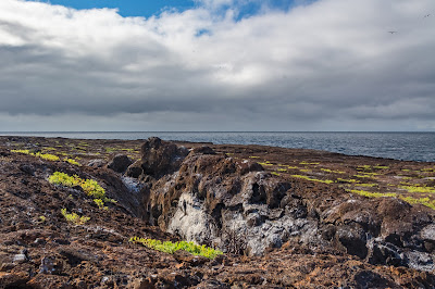 Genovesa Island