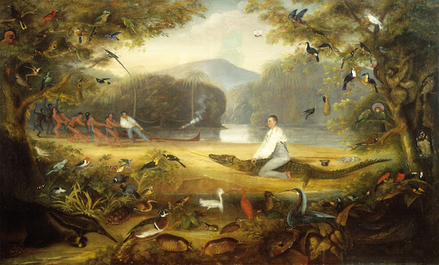 A painting of Waterton riding a caiman, surrounded by exotic animals, with Daddy Quashi and members of an Amerinidian tribe pulling on the baited rope