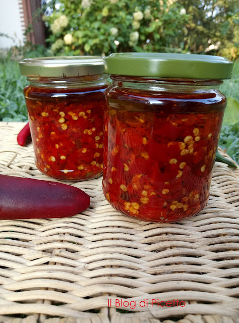 peperoncino sotto olio conserve