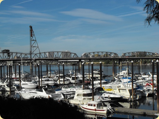 A Nice Day in Portland, OR 257