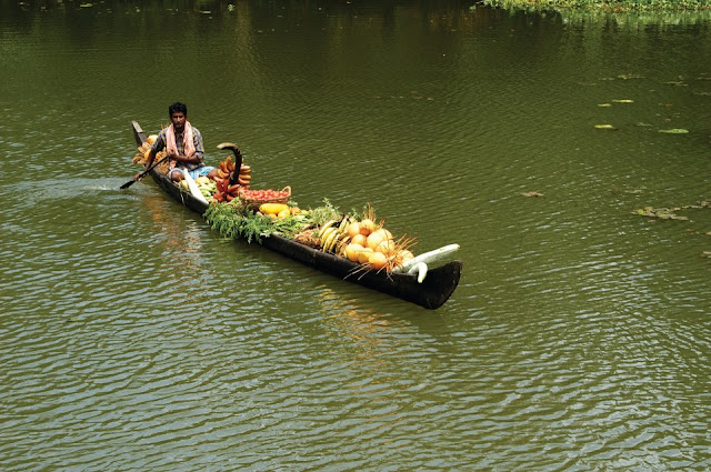 A traditional snake boat on the way to the market.