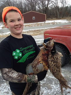 Pheasant hunting