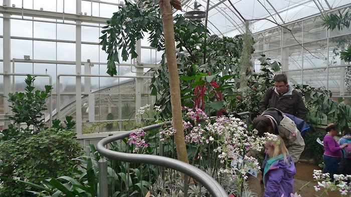 butterfly-exhibition2