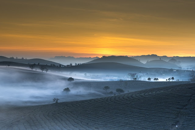 Enjoy the endless green space in Moc Chau plateau