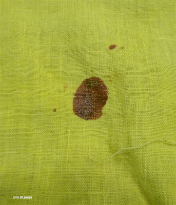 drop of soapy water on turmeric-dyed cloth