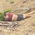 Imagens fortes: Homem é encontrado morto com mãos amarradas em ramal de Manaus