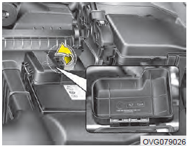 Engine room Battery Terminal Fuse Box Location