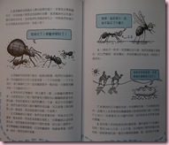 P1020954