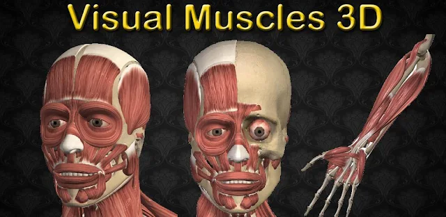 برنامج Visual Muscles 3D للأندرويد