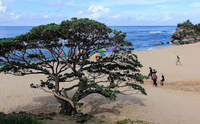 pantai pok tunggal, pantai di jogja, wisata jogja, pok tunggal