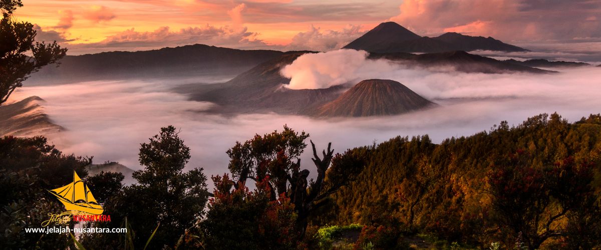 paket wisata open trip bromo midnight setiap hari dari kota surabaya