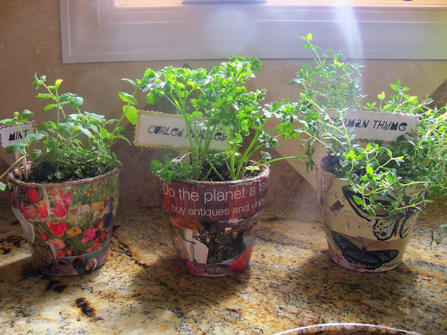 Ideas for decorating Terra cotta pots in the garden - Debbiedoo's