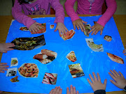 glueing food onto our ocean background (sticking on ocean food pix)