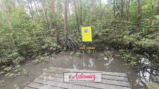 Air pasang besar di Taman Negara Tanjung Piai | Teruja!