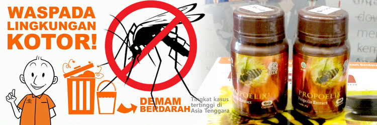 Waspada Demam Berdarah