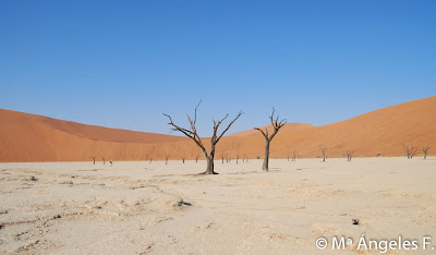 The Namib-Naukluft National Park