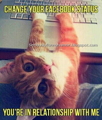 Cat says: Change your Facebook status, you're in relationship with me!