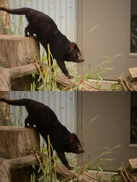 Top half: +1 stop exposure compensation. Bottom half: No exposure compensation, thanks to software