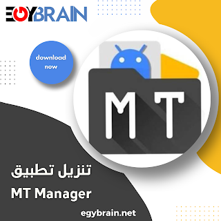 تحميل تطبيق MT Manager Pro