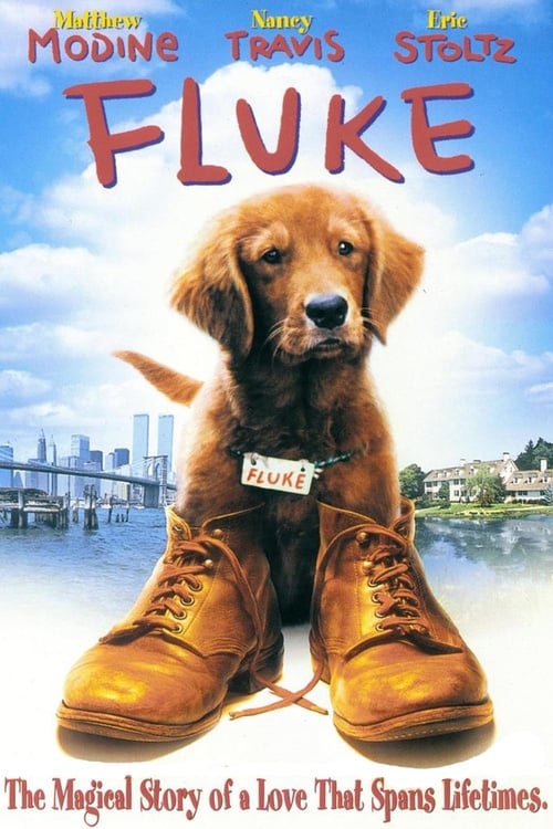 [HD] Fluke 1995 Film Complet En Anglais