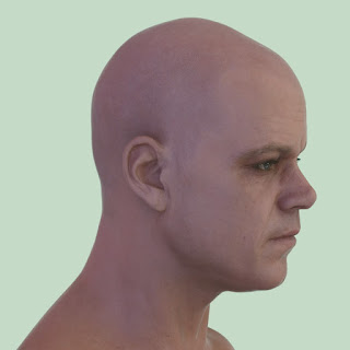 3d model Matt Damon head