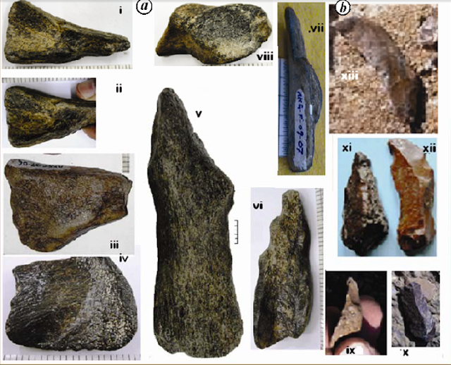 stone tools, stone artifacts, nethankhari stone tools, netankhari artifacts, Pleistocene tools india, mode 3 tools india, mode 3 tools Narmada valley