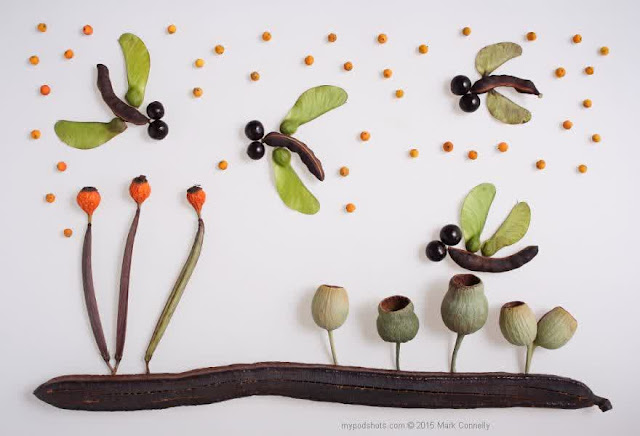 Creative pictures made of seed and seed pods