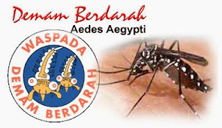 DBD (Demam Berdarah Dengue) Mengintai Kita Jika Kebersihan Tidak Dijaga