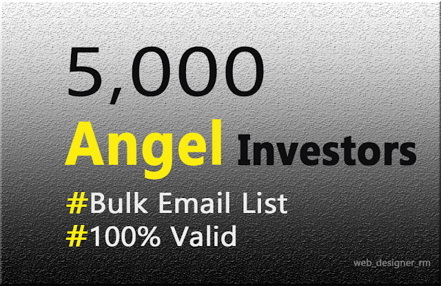 Top 5,000 Angel Investors or Venture Capitalists Bulk Business Email List For Fundraising