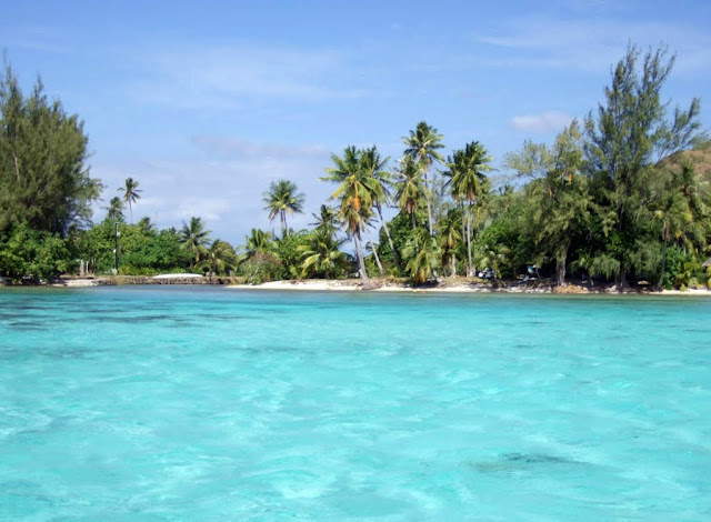 mar azul do pacífico