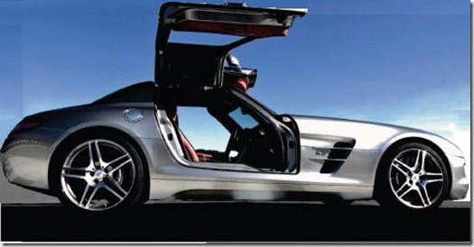 gullwing