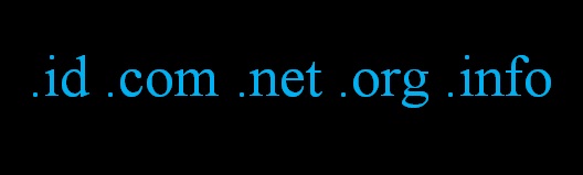 Dampak Mengganti Domain Sebuah Blog Menjadi TLD DAMPAK GANTI DOMAIN BLOG